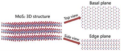 Anisotropic Polymer Adsorption on Molybdenite Basal and Edge Surfaces and Interaction Mechanism With Air Bubbles